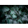 Tactical Quantum Stealth Kryt pro Apple iPhone 16 Pro Clear/Black - 1514312 - zdjęcie 4
